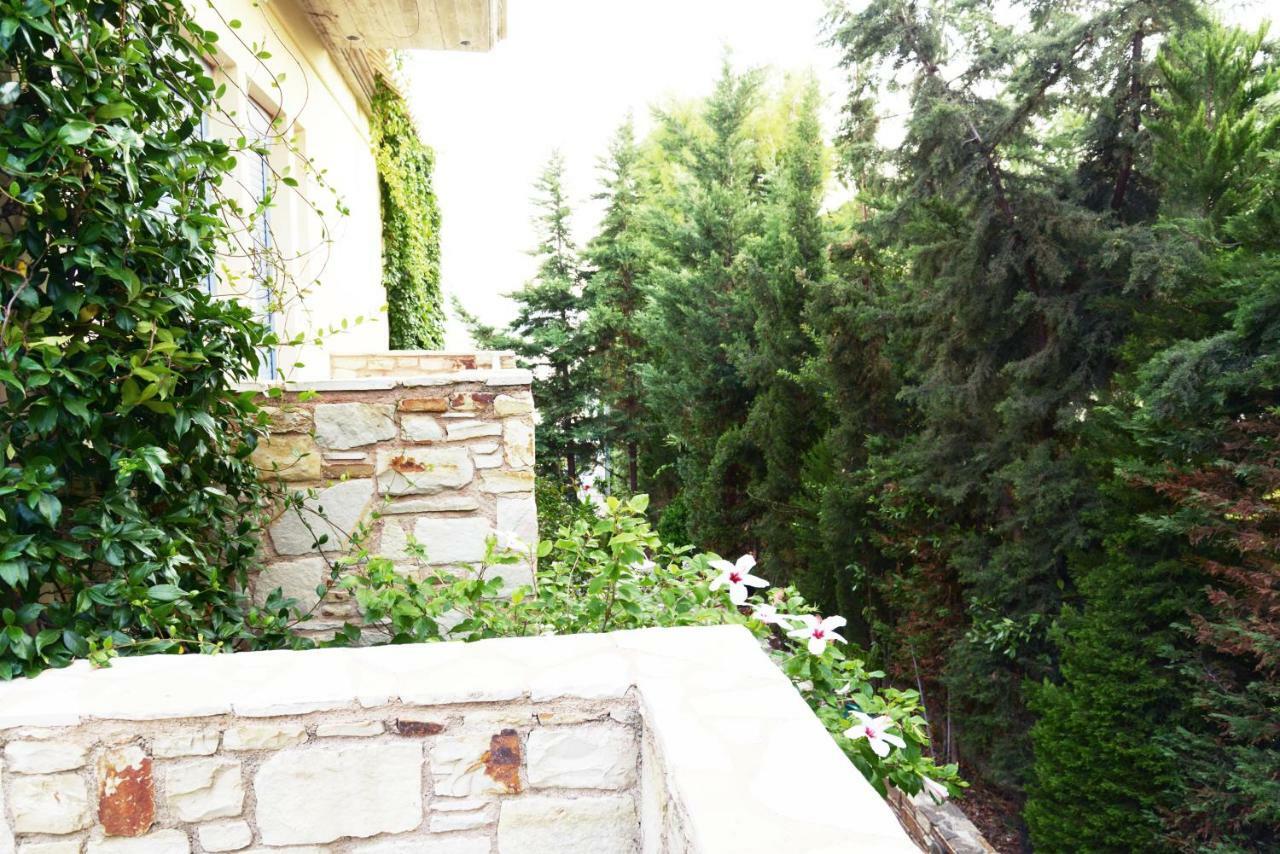 Blueline Guesthouse Agios Dimitrios  Bilik gambar