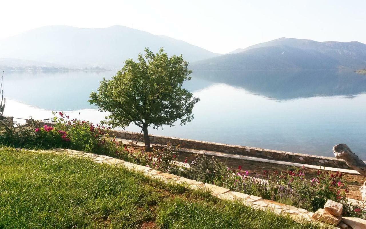 Blueline Guesthouse Agios Dimitrios  Luaran gambar